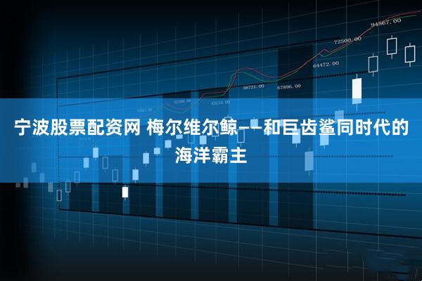 宁波股票配资网 梅尔维尔鲸——和巨齿鲨同时代的海洋霸主